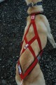 Dog Harness - Collared Lightweight  Fleece