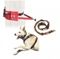 Canicross Starter Kit Designer ~ 1 Dog