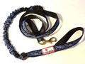 Bungee Leash - 4ft