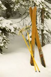 skis.in.snow.jpg