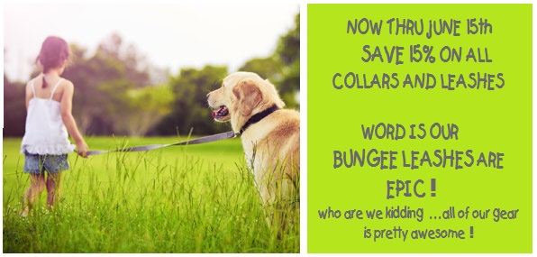 summer-collars-leashes-sale-banner.jpg