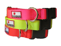 Buckle Dog Collars D-Ring