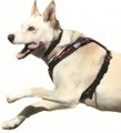 Dog Harness - Shorty  Ripstop Designer