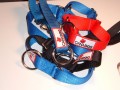 Dog Collar - Racing  w/ 1.25" O ring