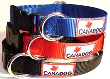 O ring dog sales collar