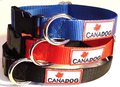 Dog Collar - Sport Buckle w/ D Ring