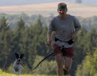 Canadog walking belt shop